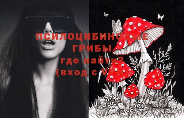 гашиш Надым