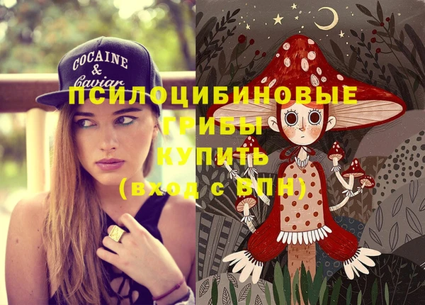 гидра Михайловск