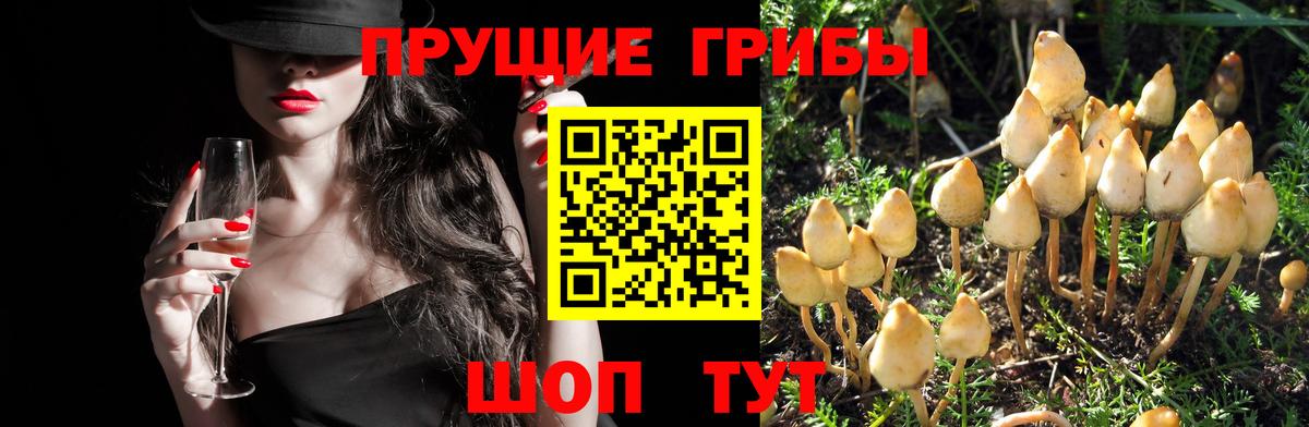 Галлюциногенные грибы мухоморы  Вход с VPN  Псилоцибиновые грибы мухоморы  Хабаровск 